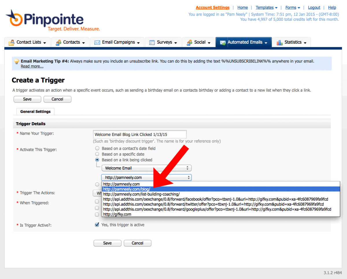 how to set up an email trigger in pinpointe