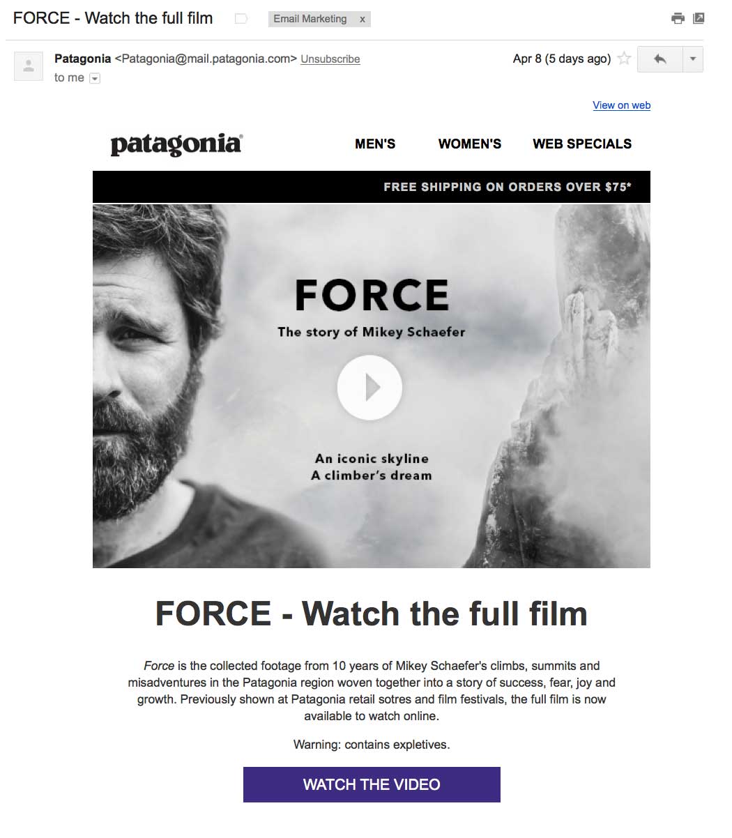 Patagonia uses a static image that looks like a video in their emails, then sends subscribers to a landing page where the video actually plays. This technique for video email marketing is widely used.
