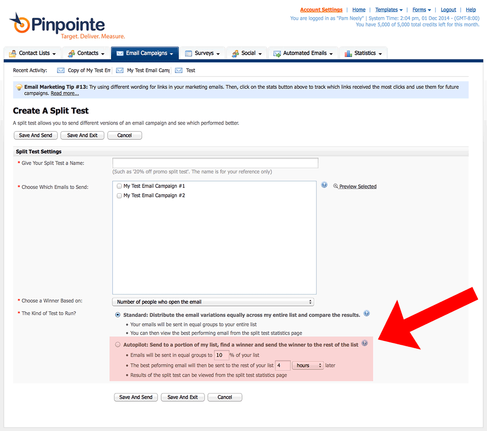 Pinpointe makes it easy to send two versions of a split test to part of your list, then mail to the remainder of your list with the winning test cell