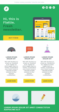 Mobile-Responsive-Flattie-email-templates-Wide-Layout-2-preview
